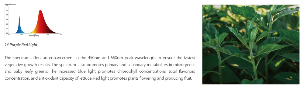 led-kweeklamp-voor-specifieke-plantengroei-(4)