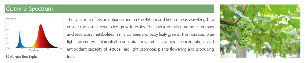 kêm-enerjî-xerckirin-led-plant-grow-lights-(3)