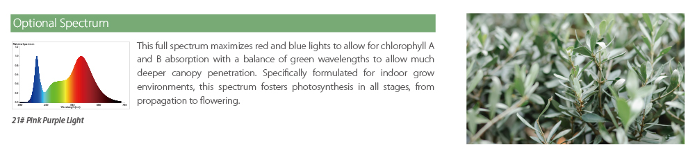 adjustable-led-plant-light-with-long-life-(2)