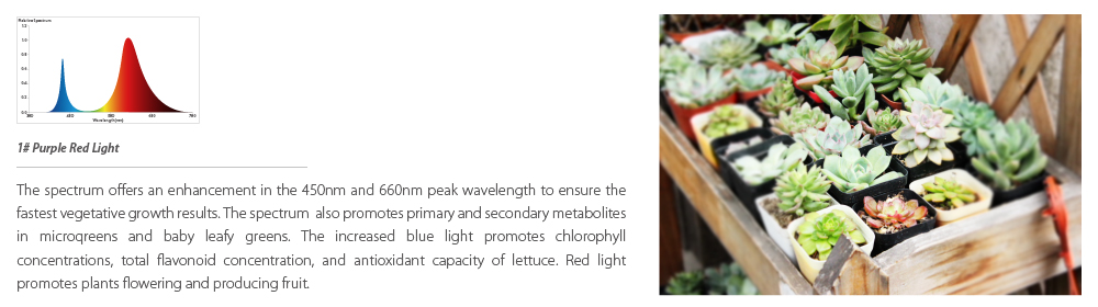 easy-to-use-led-indoor-grow-light (1)